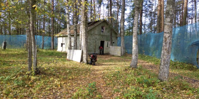 От любви до ненависти — один шар.