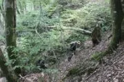 Страйкбольный клуб Спрут в Сочи