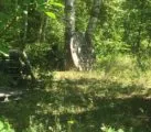 Лазертаг-пейнтбол-клуб Победа 