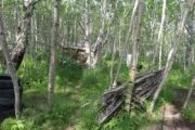 Лазертаг-клуб Мультипраздник 41 