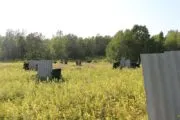 Лазертаг-клуб Мультипраздник 41 