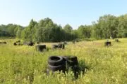 Лазертаг-клуб Мультипраздник 41 