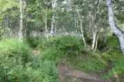 Лазертаг-клуб Мультипраздник 41 