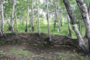 Лазертаг-клуб Мультипраздник 41