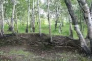 Лазертаг-клуб Мультипраздник 41 