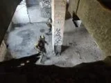 Страйкбольный клуб Спрут 