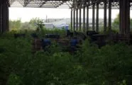 Пейнтбольный клуб УРАGUN в Ульяновске