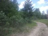 Cтрайкбольный клуб Войнушка в Ярославле