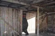 Пейнтбольный клуб Пейнтбол-Парк в Хабаровске
