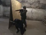 Федерация страйкбола Кузбасса в Кемерово