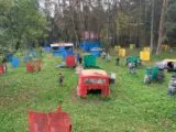 Пейнтбол и лазертаг в клубе Стрелок 69 в Твери