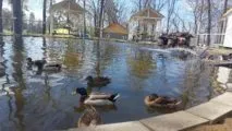 Лазертаг-Гидробол клуб Викинги 