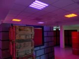 Лазертаг-арена LASERWAR 