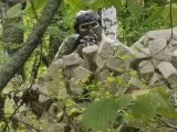 Страйкбол и гидробол 