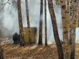 Пейнтбольный клуб Paintball City в Казани