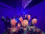 VR-клуб Астра Парк в Новокузнецке