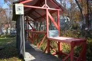 Пейнтбол и лазертаг 