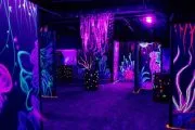 Лазертаг и Картинг 