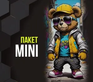 Пакет