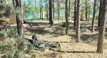 Пейнтбольный центр AmiGO 